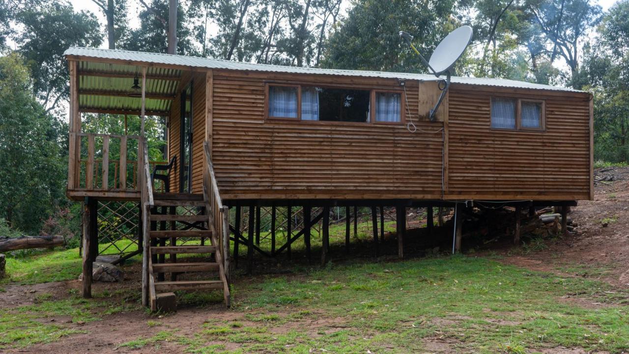 Diamond Vault Rustic Mountain * Hogsback