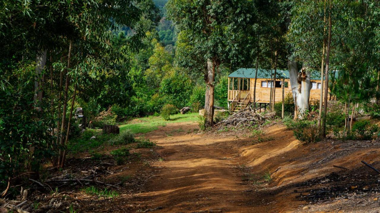 Diamond Vault Rustic Mountain Campsite