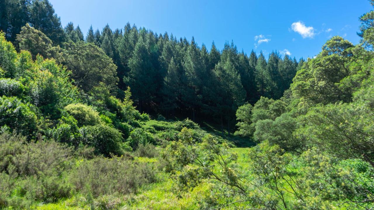 Campsite Diamond Vault Rustic Mountain Hogsback