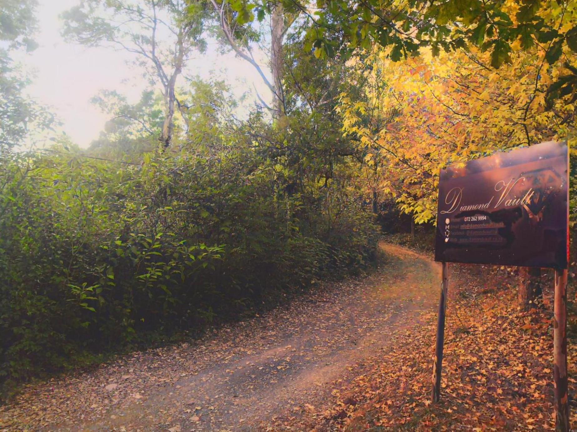 Campsite Diamond Vault Rustic Mountain